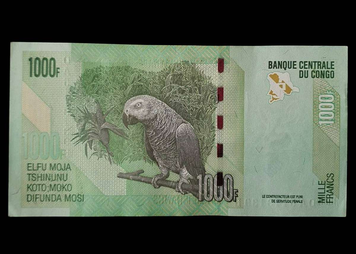 DRC 1000 Francs Banknote  2013 Issue  African Grey Parrot
