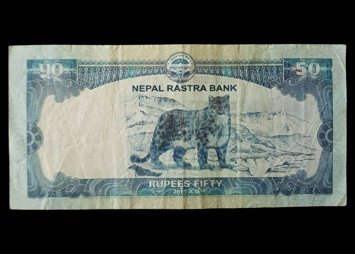 NEPAL  50 Rupees Banknote (2015 A.D.)  Snow Leopard Issue