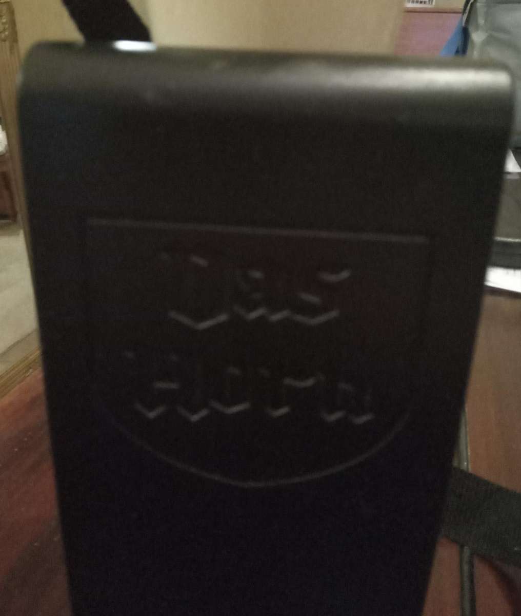 Das Horn Viking Drinking Horn (with strap)