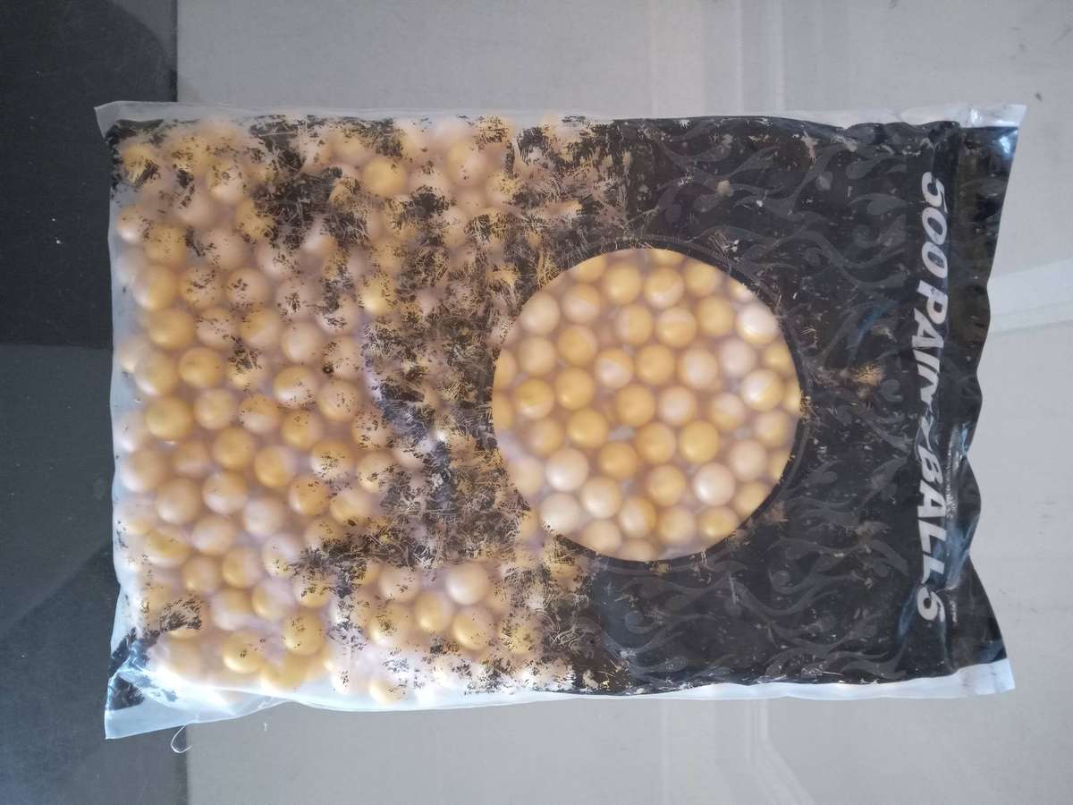 ONE BAG OF 500 X .50 CALIBER PAINTBALLS