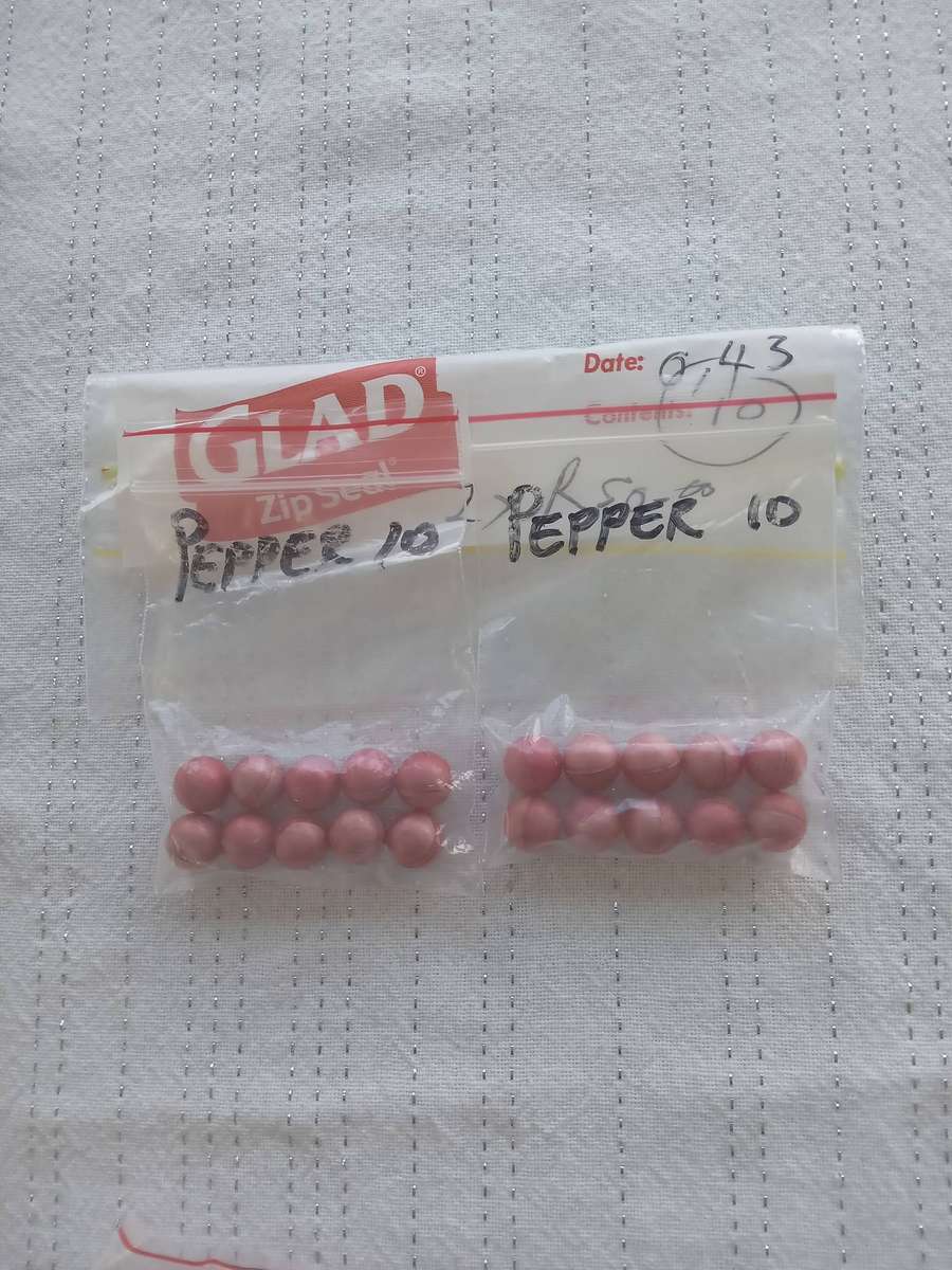 1 PACK OF 100 X 0.43 CAL SOLID NYLON BALLS + 20 PEPPER BALLS FOR UMAREX WALTHER PPQ SELF DEFENSE GUN