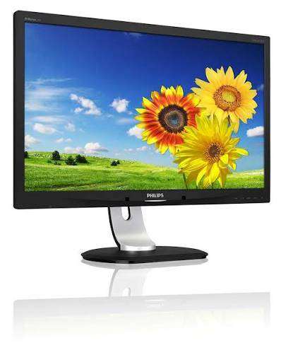 Philips Brilliance 241P Monitor Screen