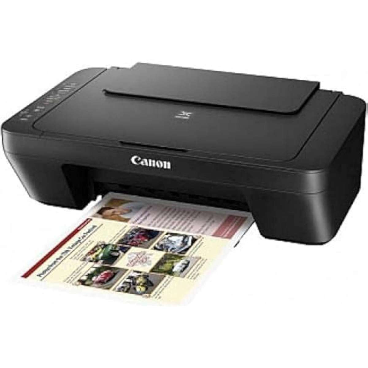 Canon Pixma MG2541S Printer