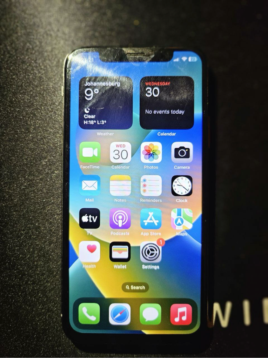 iPhone X