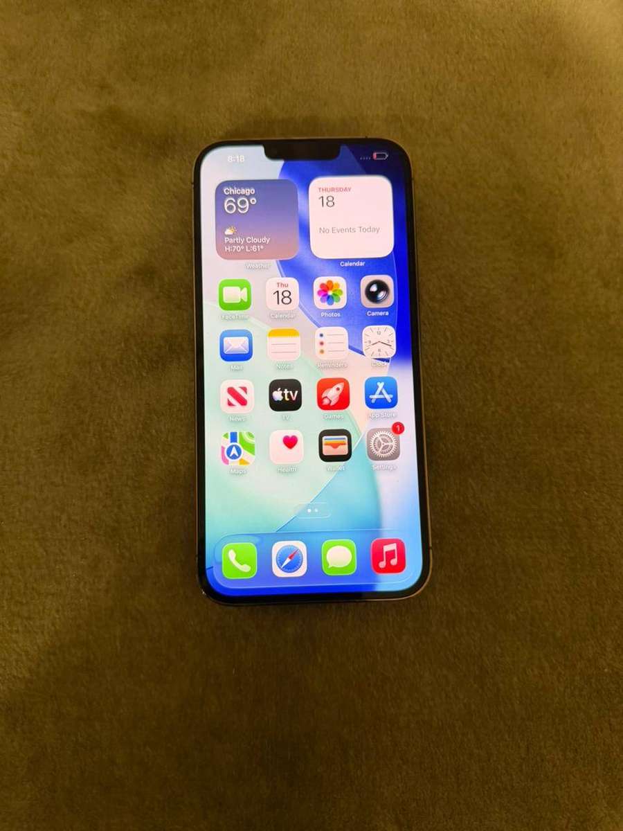 iPhone 13 Pro Max 256GB