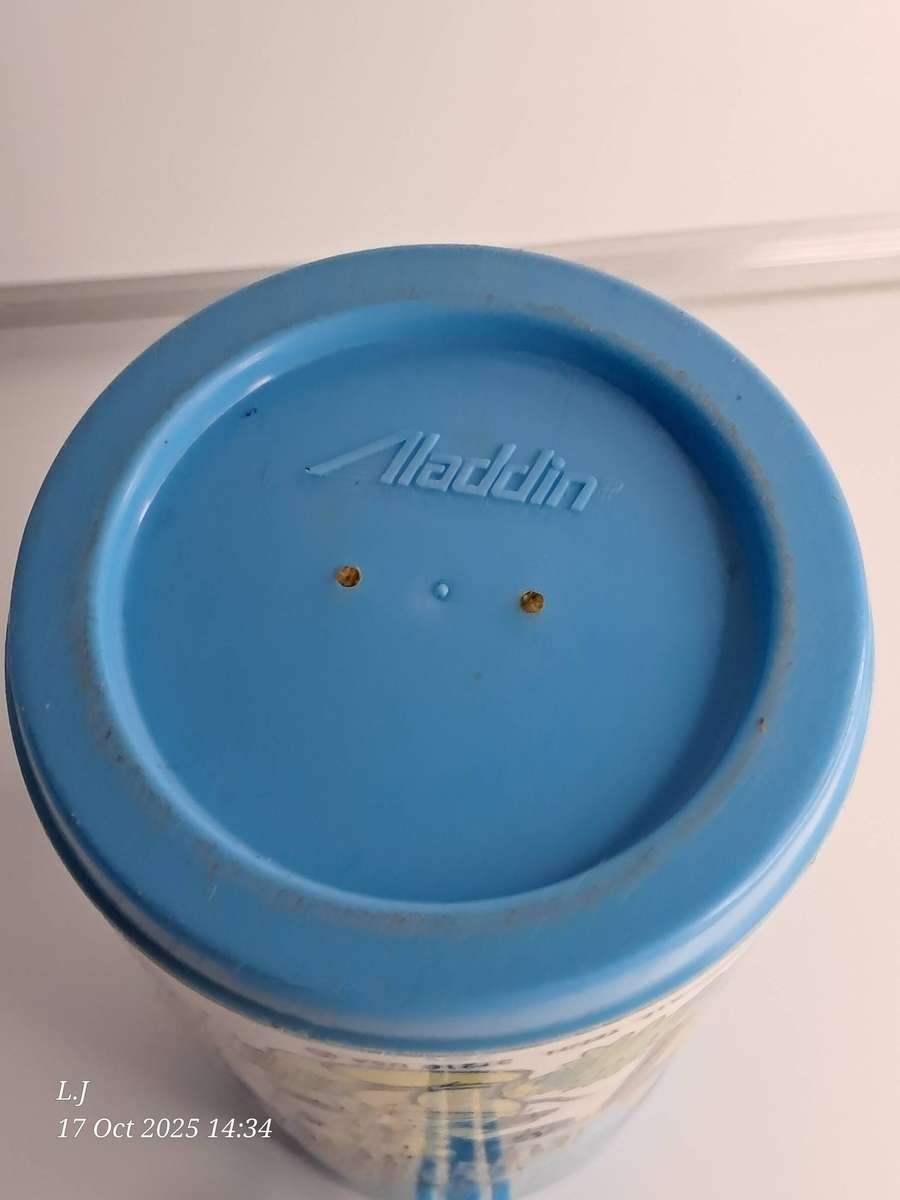 Vintage 1979 Walt Disney Magic Kingdom Thermos bottle made by Aladdin.