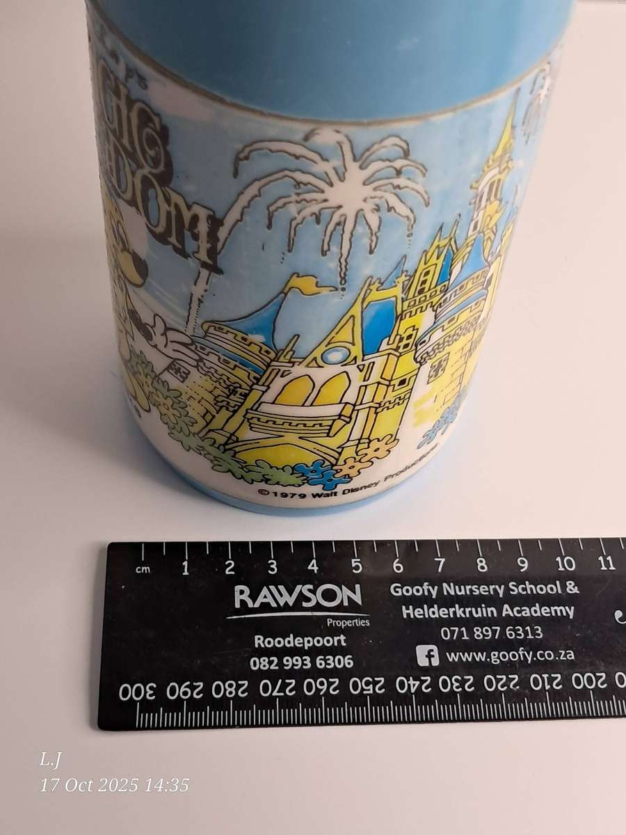 Vintage 1979 Walt Disney Magic Kingdom Thermos bottle made by Aladdin.