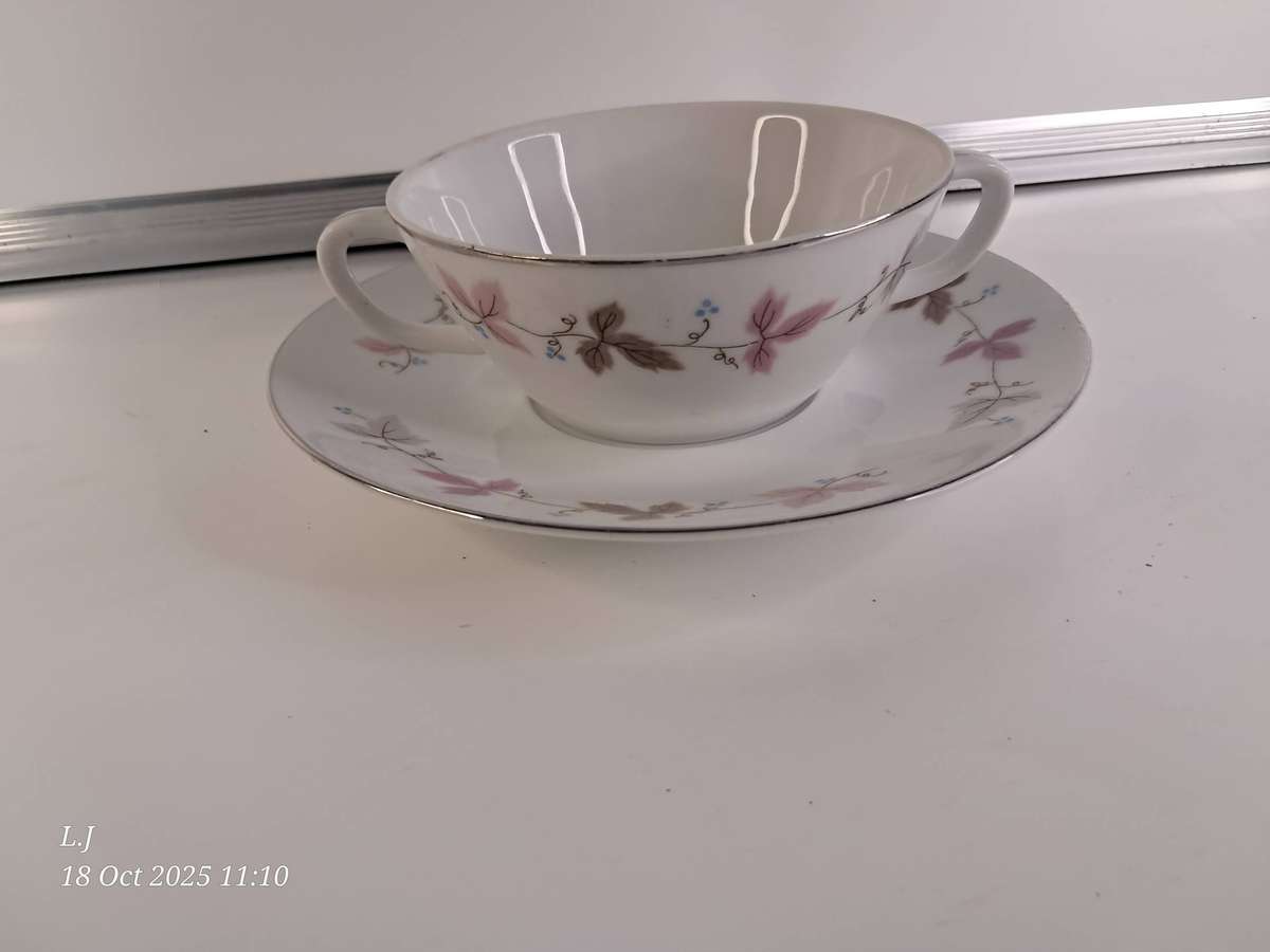 Soup mug & saucer