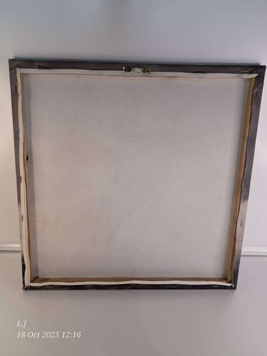 Canvas Picture of a Horse