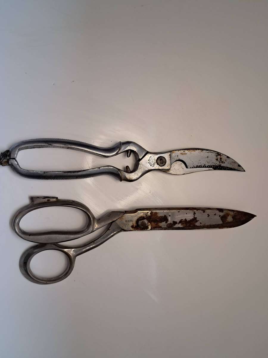 Poultry & Tailor Shear's