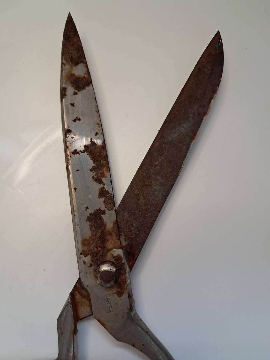 Poultry & Tailor Shear's