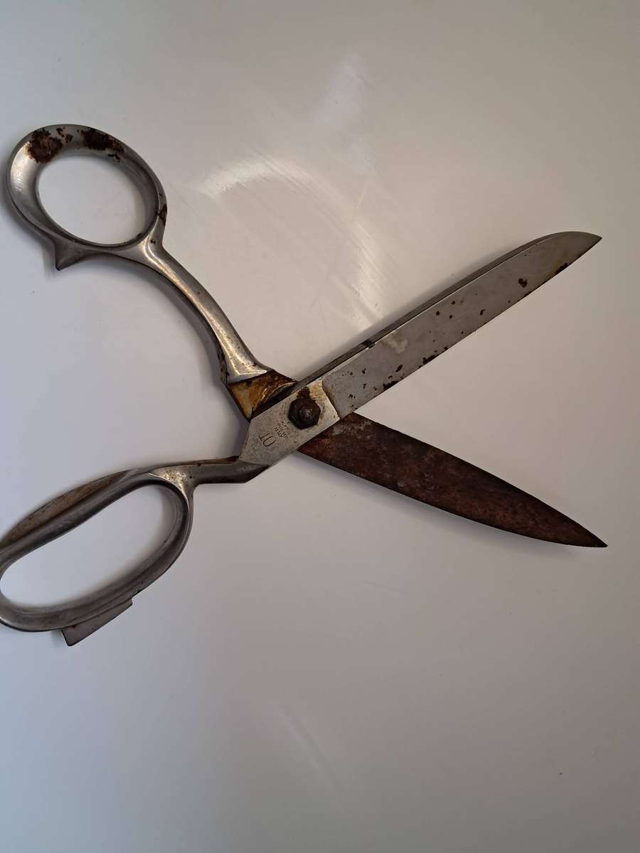 Poultry & Tailor Shear's