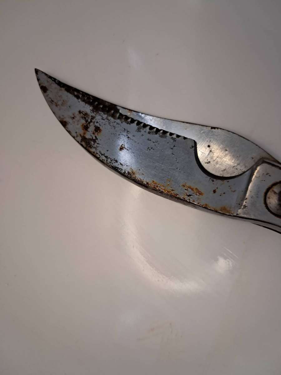 Poultry & Tailor Shear's