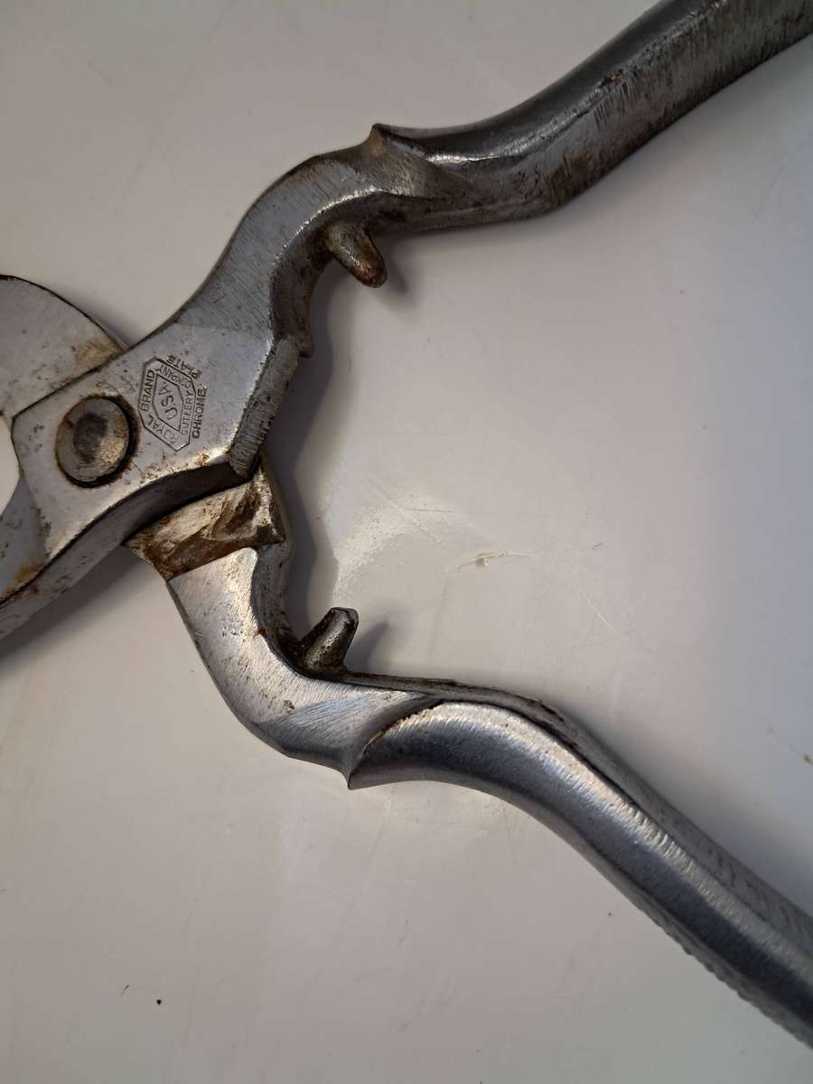 Poultry & Tailor Shear's