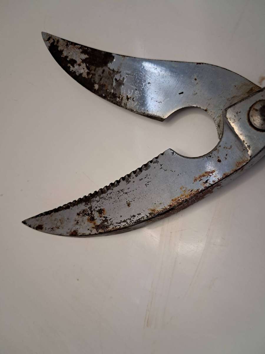 Poultry & Tailor Shear's