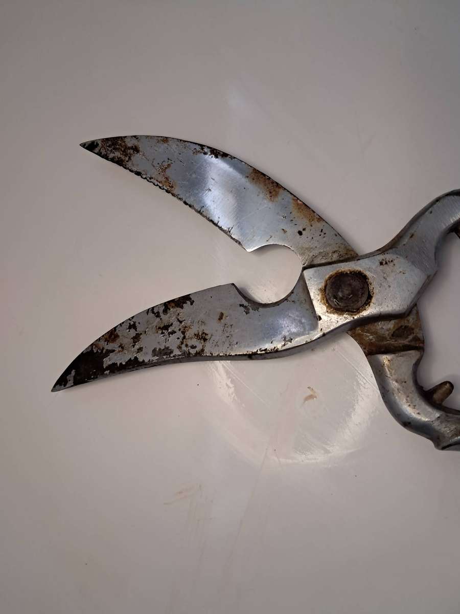 Poultry & Tailor Shear's