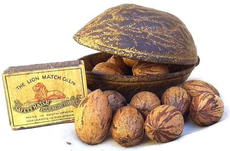 Vintage Victorian Era Cast Iron Nut Cracker