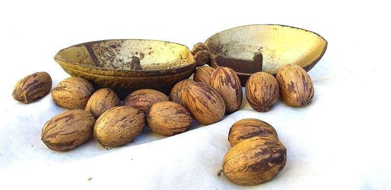 Vintage Victorian Era Cast Iron Nut Cracker