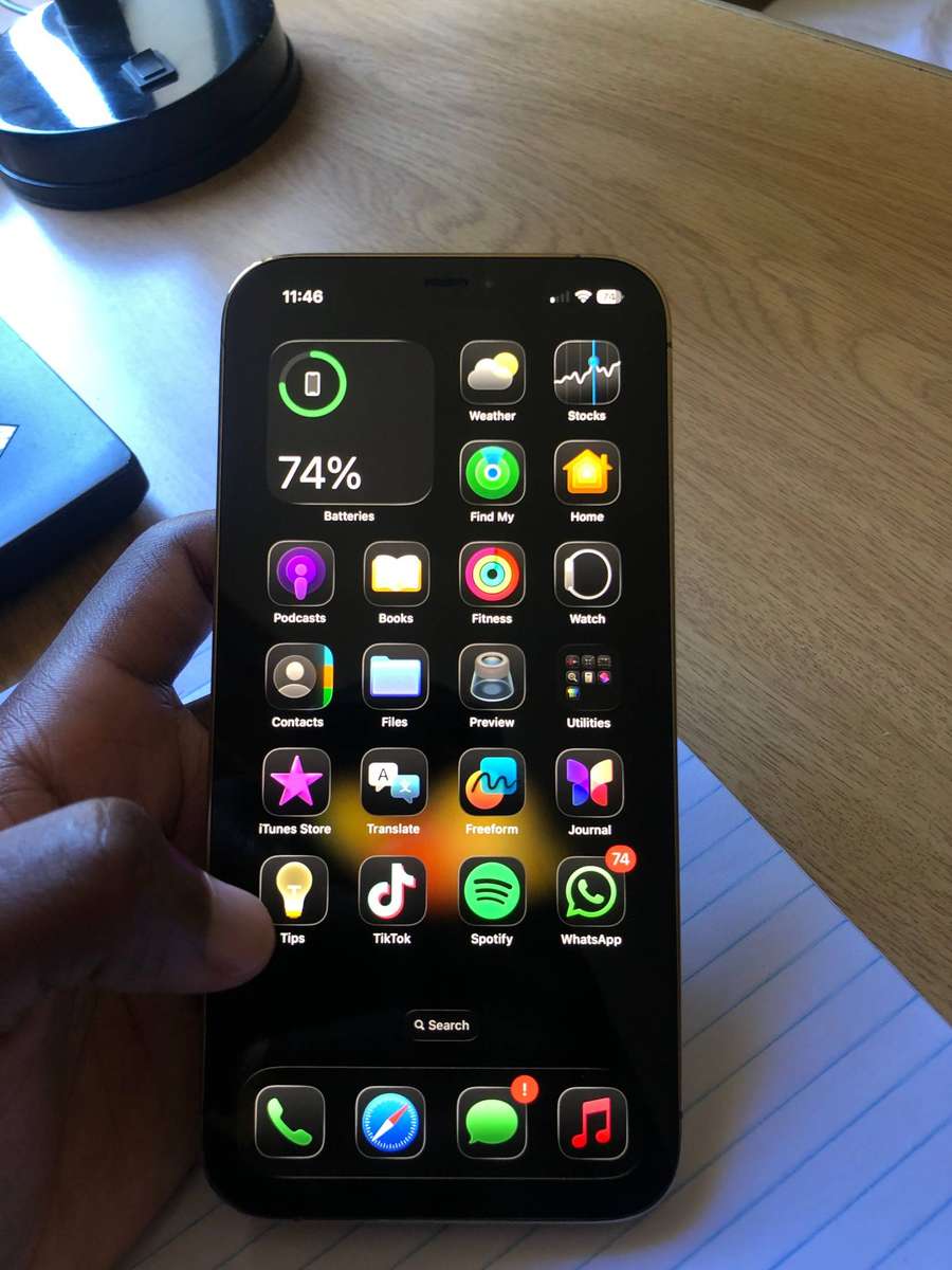 iPhone 12 Pro Max (128GB)
