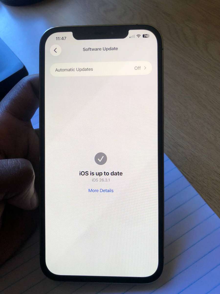 iPhone 12 Pro Max (128GB)