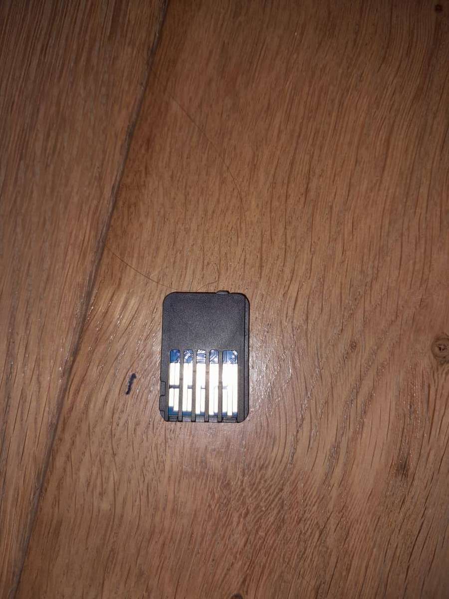 Nintendo Switch Lite With MIG Switch Card