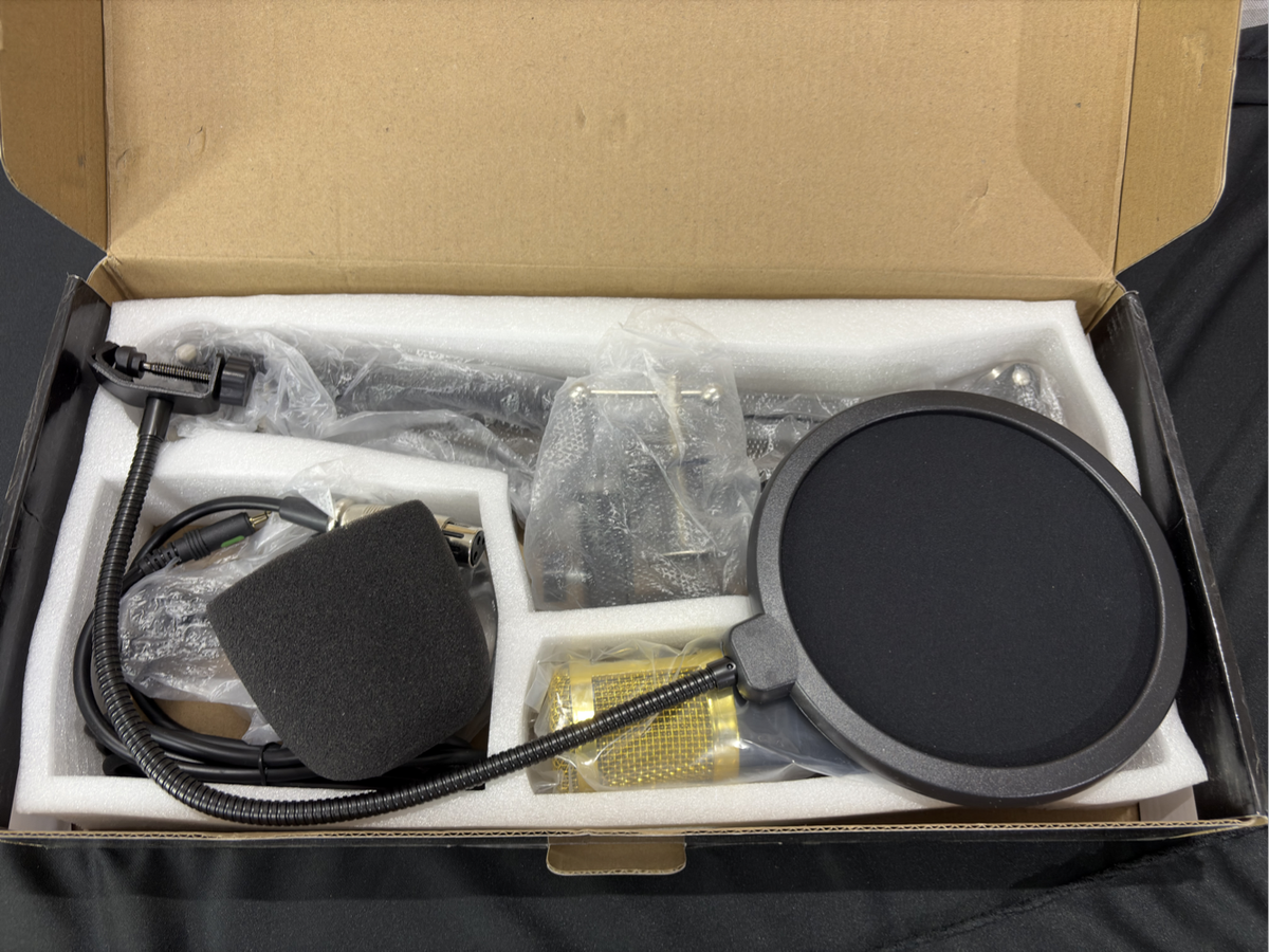 Profesional Condensor Microphone