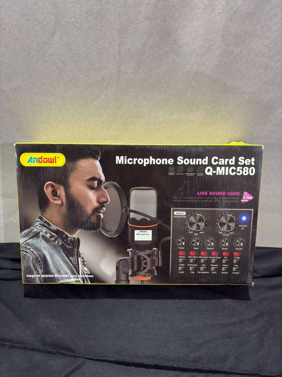 Microphone Sound Card Set