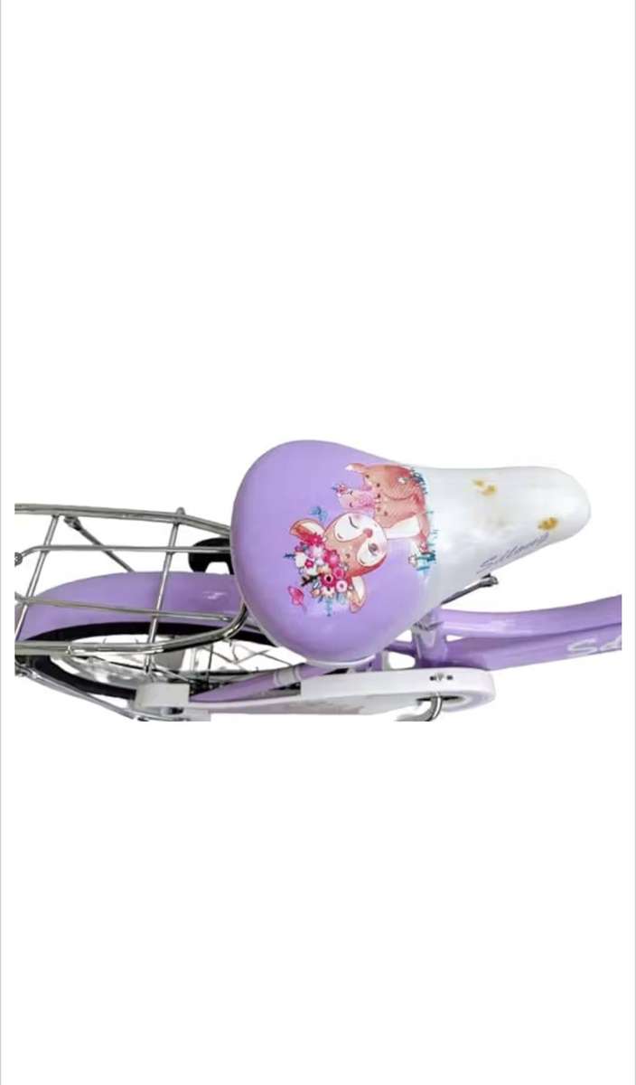 Girls Bike with Basket and Side Wheels