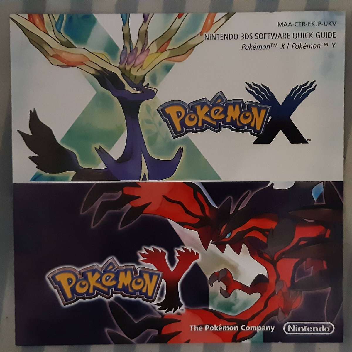 Pokemon Y Nintendo 3DS