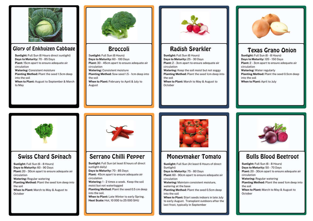 Vegetable Seed Box, 3 120 GMO-free seeds, 24 Vegetable varieties
