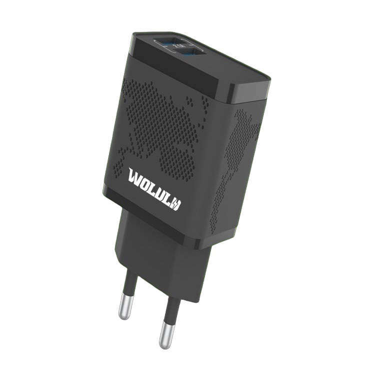 Dual Port Fast Smart Charger - 2.1A Output