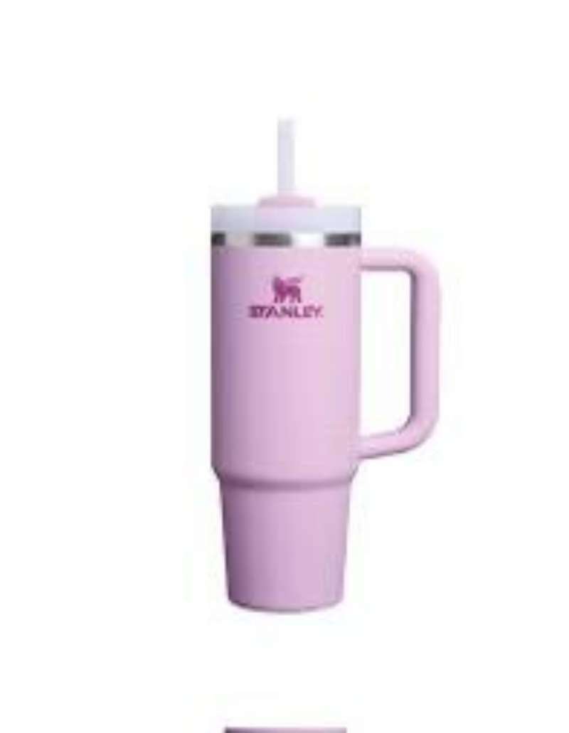 Standley Cup with Straw - Reusable Drinking Cup for Kids and Adults