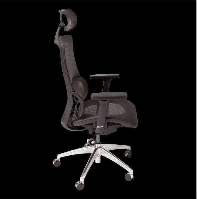 DEMO WP Beta Ergonomic Home Office Chair | Mesh Computer Desk Chair with Adjustable Lumbar Support