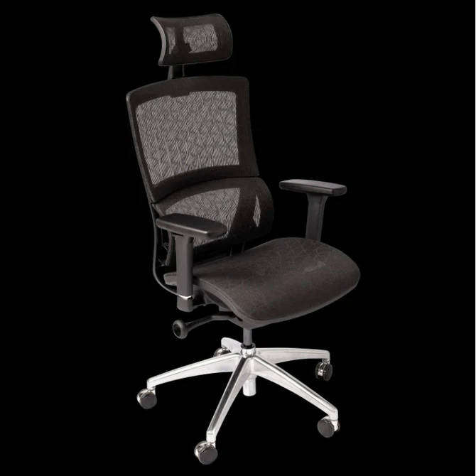 DEMO WP Beta Ergonomic Home Office Chair | Mesh Computer Desk Chair with Adjustable Lumbar Support