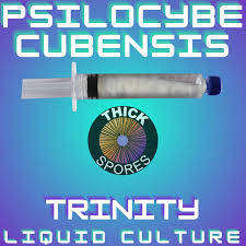 Trinity (10ml) - Premium Mycology Liquid Culture Spore Syringe