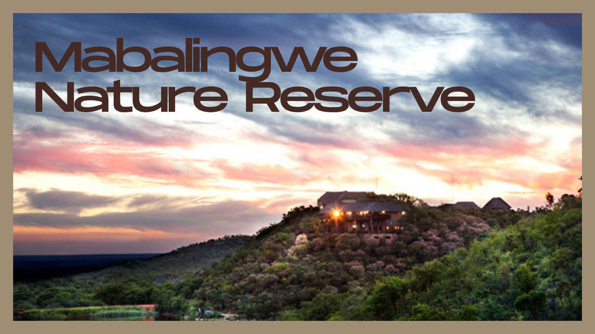 Mabalingwe Nature Reserve  Midweek 1-5 June 6 Sleeper Unit