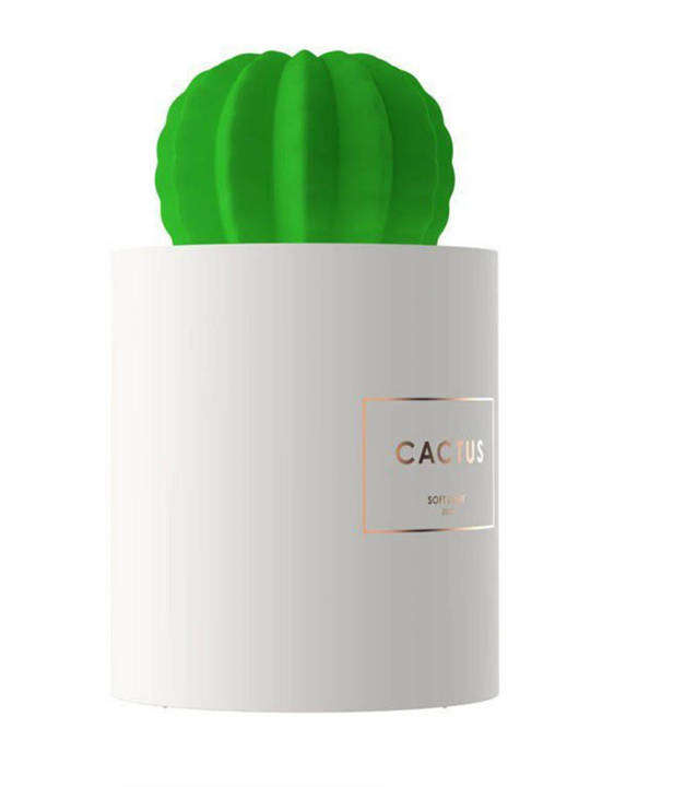 Cactus Soft Light Humidifier 280ml-Last one!!!!