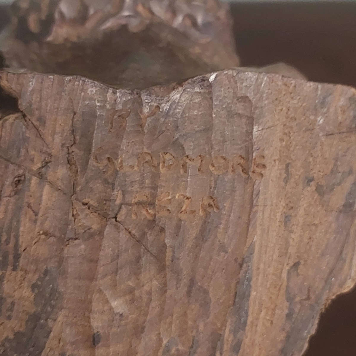 Gladmore Reza driftwood bust