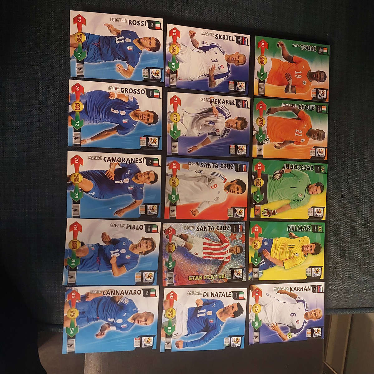 Panini 2010 Fifa World Cup Trading Cards