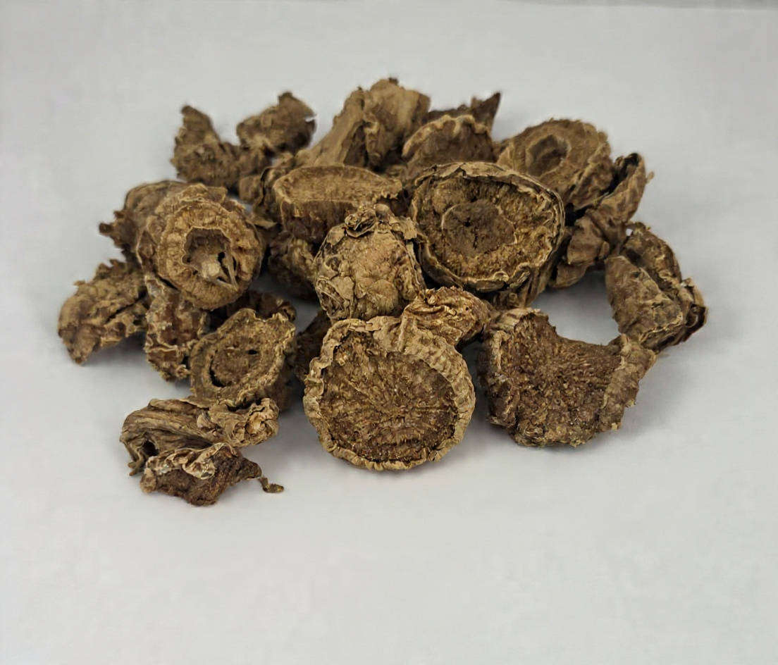 Devil's Claw Sengaparila 5kg - Natural Herbal Remedy for Pain Relief