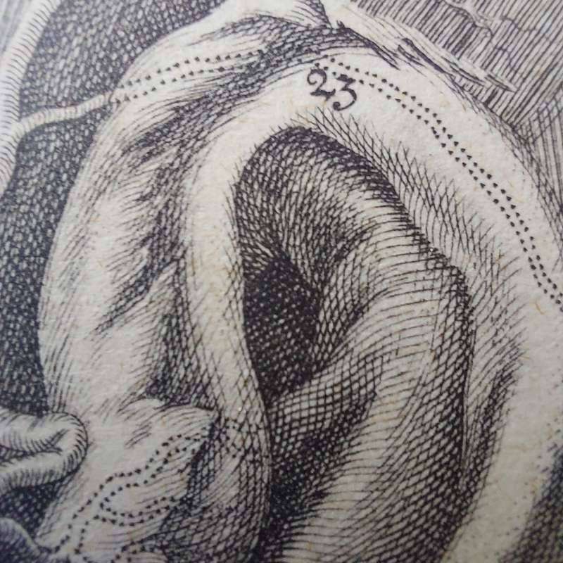 Vintage anatomy plate art