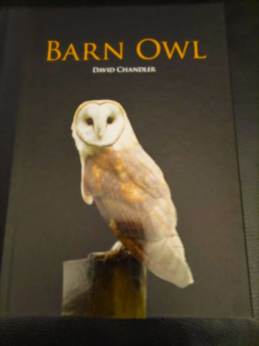 Book - Barn Owl by David Chandler