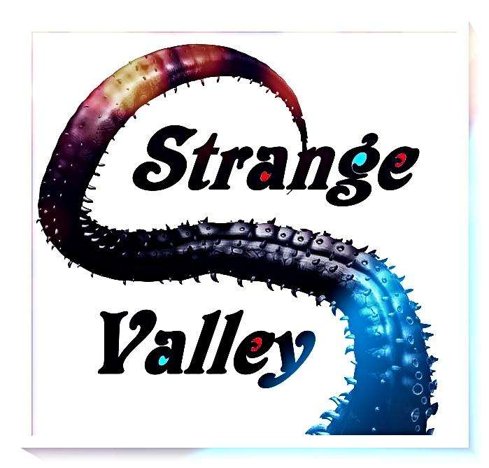 99.9% Fine Silver - Decentralized Metal DM - 1 Troy oz - Bitcoin Design - Bullion Silver Coin*