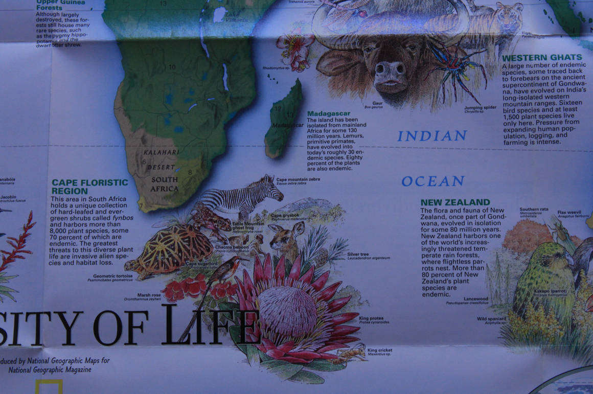 National Geographic Diversity Of Life World Map Folded Map February 1999