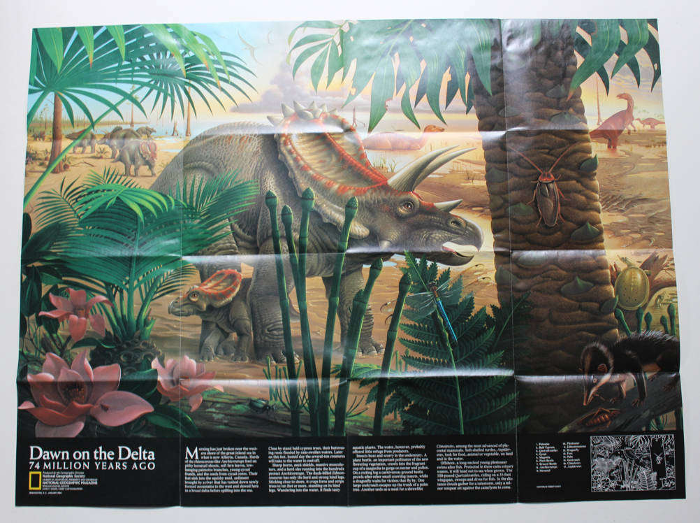 National Geographic Folded Map North America In The Age Of Dinosaurs January 1993