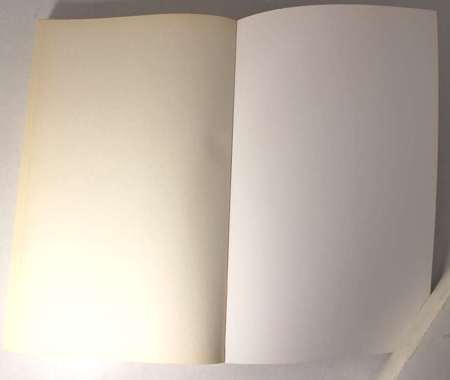 Touch, Pause, Engage! Exploring The Heart Of South African Rugby by Liz McGregor Softcover Book