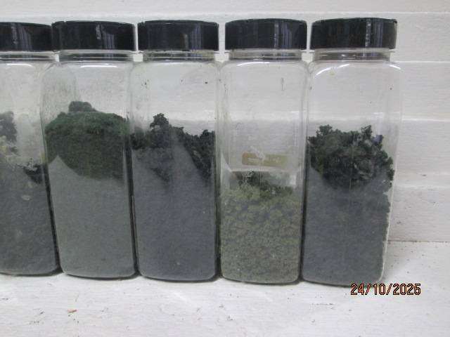 HO SCALE- WOODLAND SCENICS - VARIOUS SCATTER MATERIALS - X7 - BOXED