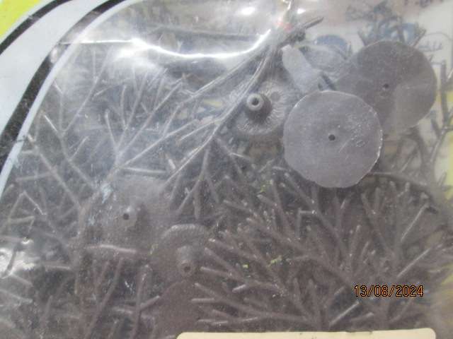 HO SCALE - WOODLANDS SCENICS - X57 DECIDUOUS TREES - BOXED