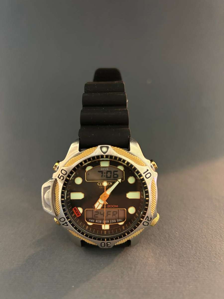 Citizen Promaster dive watch