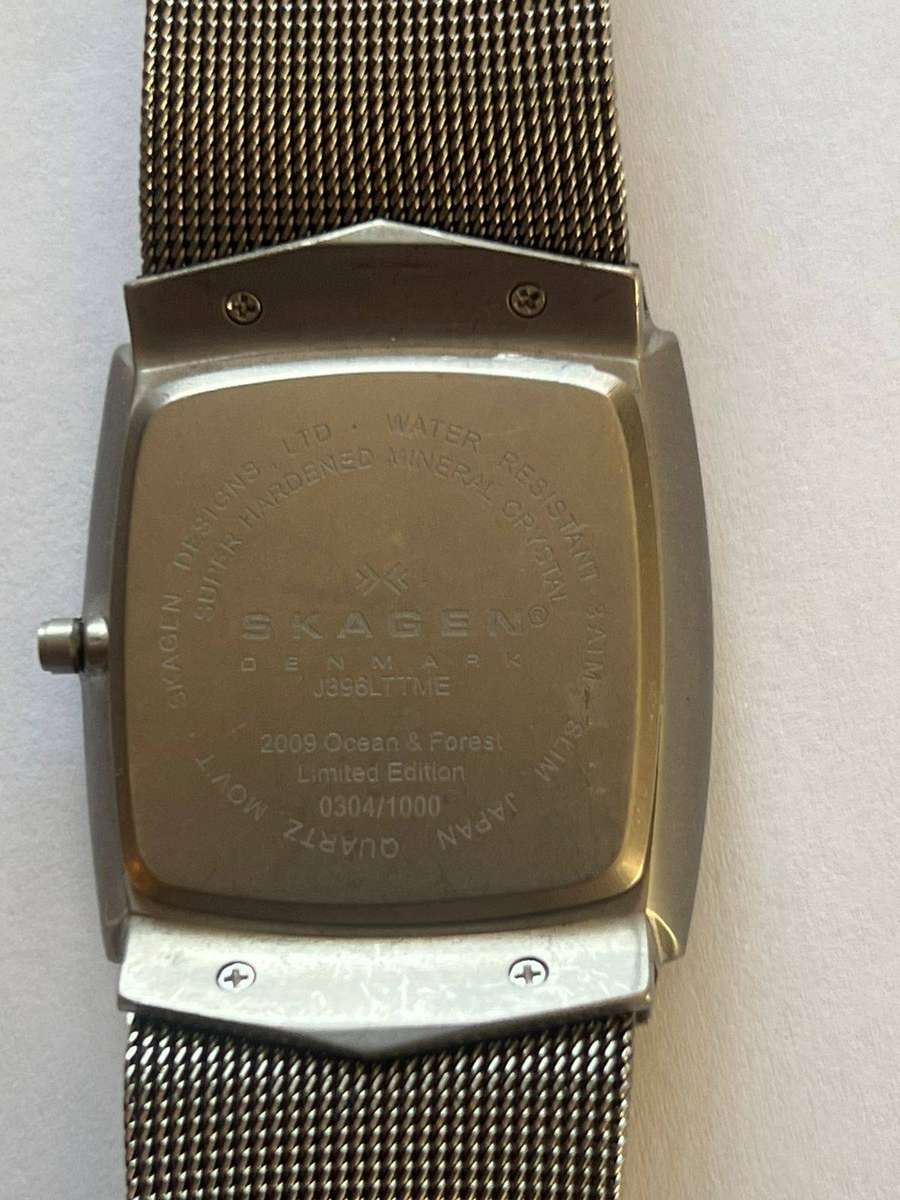 Skagen Mens Watch